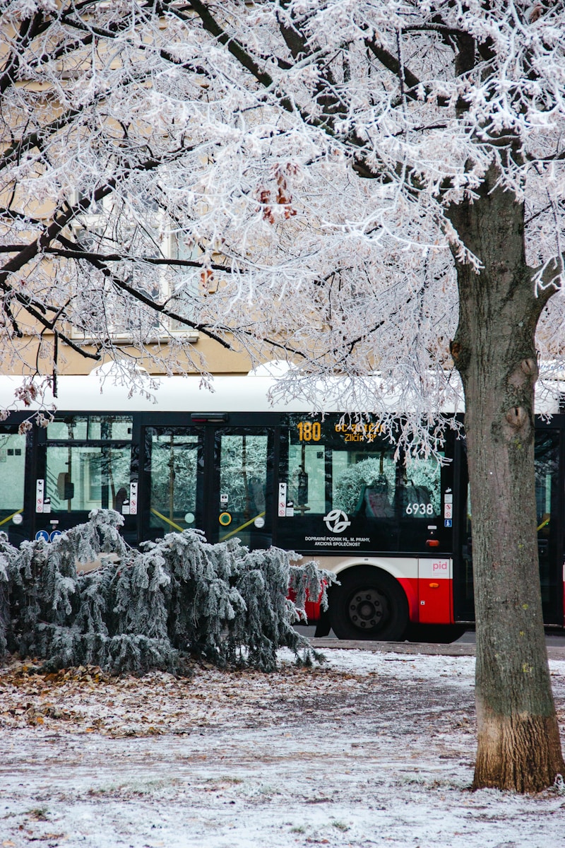 Test ghiaccio: le sfide del freddo per gli autobus elettrici